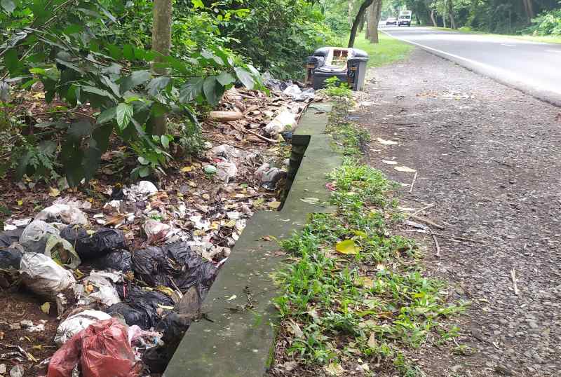 MENYEDIHKAN: Kawasan Taman Nasional Bali Barat (TNBB), di pinggiran jalan Denpasar-Gilimanuk penuh sampah buangan segala macam jenis termasuk rongsokan termasuk kursi sofa. (M.Basir/Radar Bali)