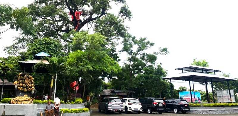 UNIK : Rumah pohon di Setra Desa Adat Buleleng (lampu merah). Tempat tersebut akan menjadi objek wisata.(foto:dok Desa Adat Buleleng untuk Radar Bali)