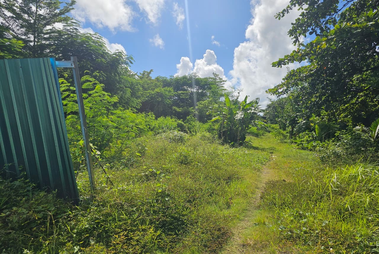 JADI SEMAK-SEMAK: Kondisi terkini di bekas tempat groundbreaking dan upacara Pengeruakan Bali Urban Subway kini tak terurus jadi semak-semak.
