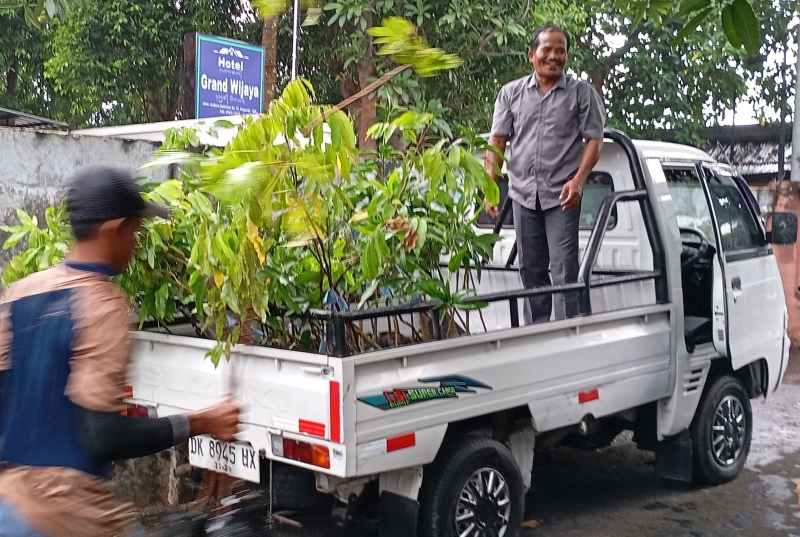 SALURKAN BIBIT TANAMAN : Ribuan bibit tanaman dibagikan Ni Luh Djelantik di Buleleng. (francelino junior)
