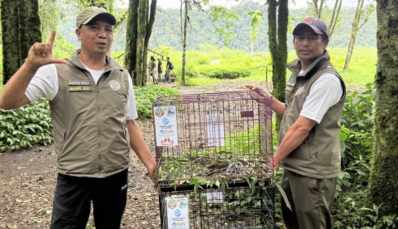 Upaya menjaga keseimbangan ekosistem Bali terus berlanjut. Balai Konservasi Sumber Daya Alam.