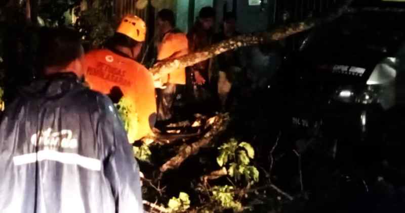 DAMPAK ANGIN KENCANG : Pohon tumbang akibat angin kencang di Jalan Tukad Yeh Empas, Tabanan. (foto: BPBD Tabanan)
