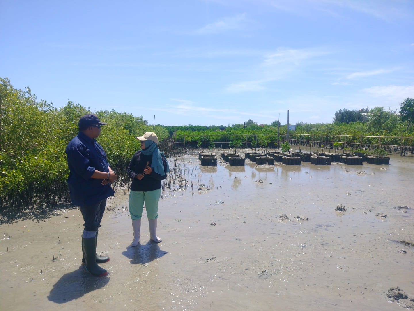 JAGA ALAM: Lokasi penanaman 1.000 mangrove SMSI Bali - Dinas KLH Bali.