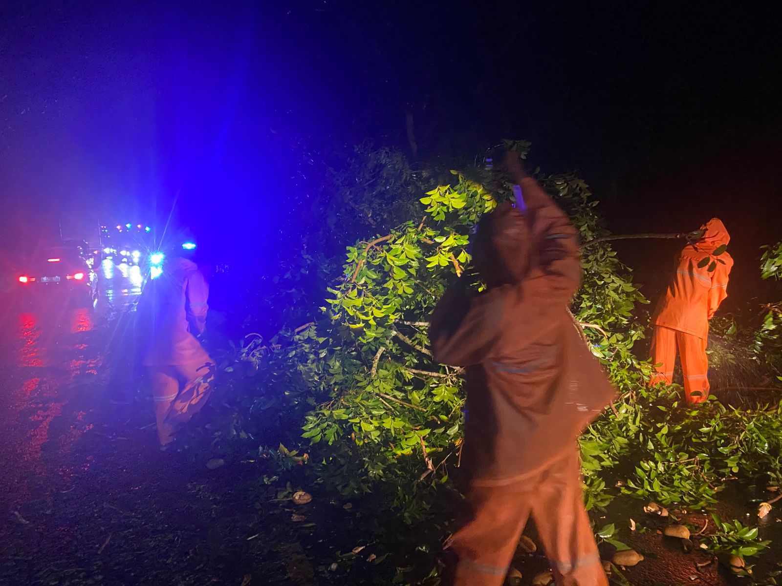 TERDAMPAK CUACA : Penangan pohon tumbang di Jalan Nasional Denpasar - Gilimanuk Jumat malam. (Foto BPBD Jembrana)