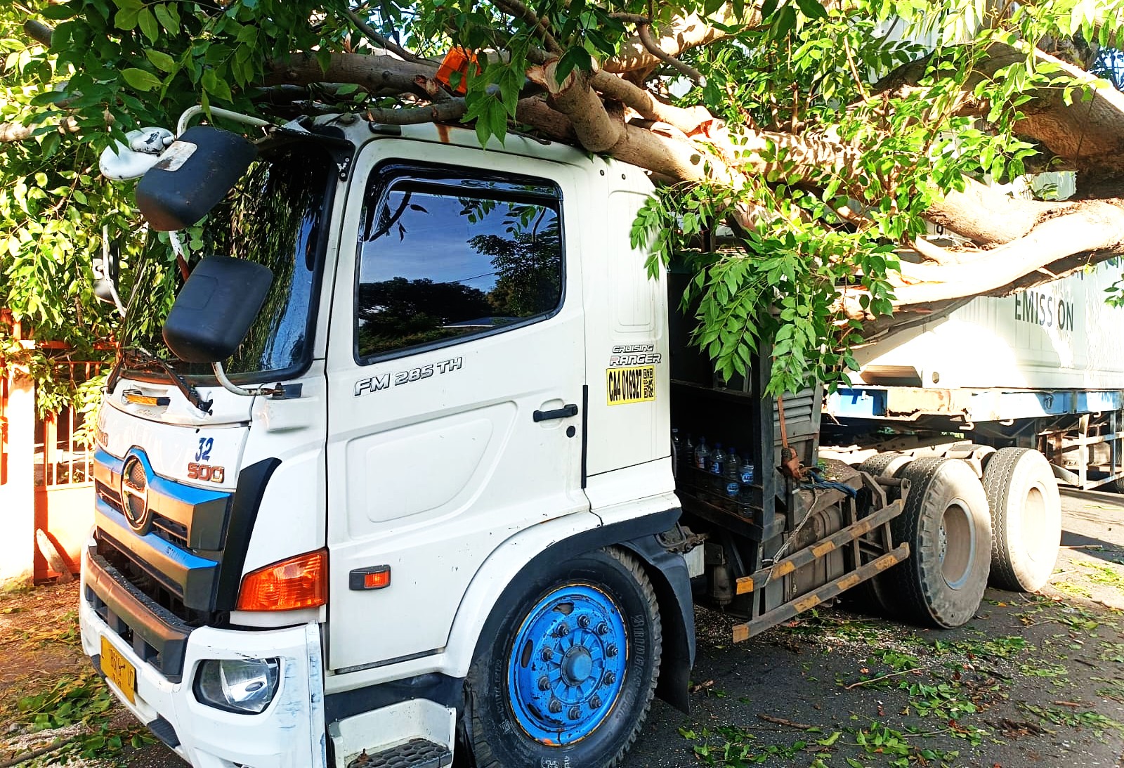 DIBERSIHKAN : Pohon tumbang yang menimpa truk kontainer di Jalan Raya Giri Emas-Jagaraga. (Foto: BPBD Buleleng dan Polres Buleleng untuk Radar Bali )