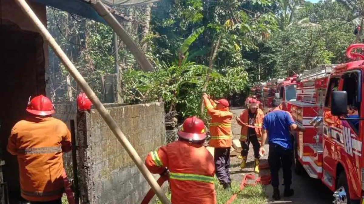 PADAMKAN API : Petugas pemadam kebakaran tengah memadamkan api yang melalap rumah warga di Desa Bukit terbakar pada Minggu siang. (ist)