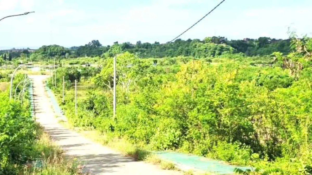 DI SINI LOKASINYA : Kawasan PKB Kabupaten Klungkung yang rencananya digunakan untuk mengolah sampah organik.(dewa ayu pitri arisanti/radar bali)