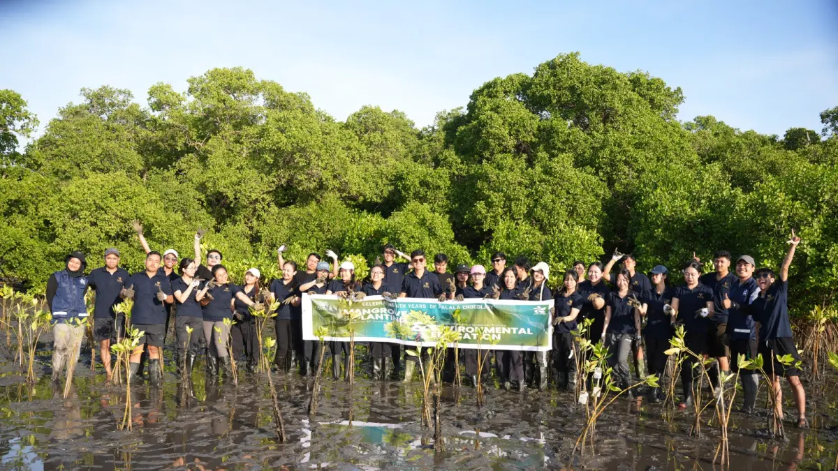 CSR: Penanaman mangrove dan edukasi lingkungan Falala Chocolate - Bendega.Id pada 6 April 2026 di Pantai Kelan Kangin, Tuban, Badung.