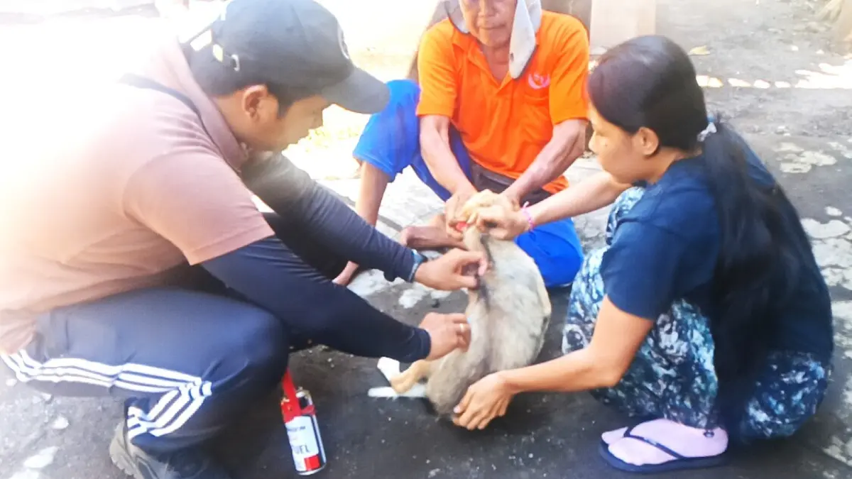 SUNTIK KELILING : Vaksinasi rabies di Desa Pohsanten. (foto: M.Basir/Radar Bali)