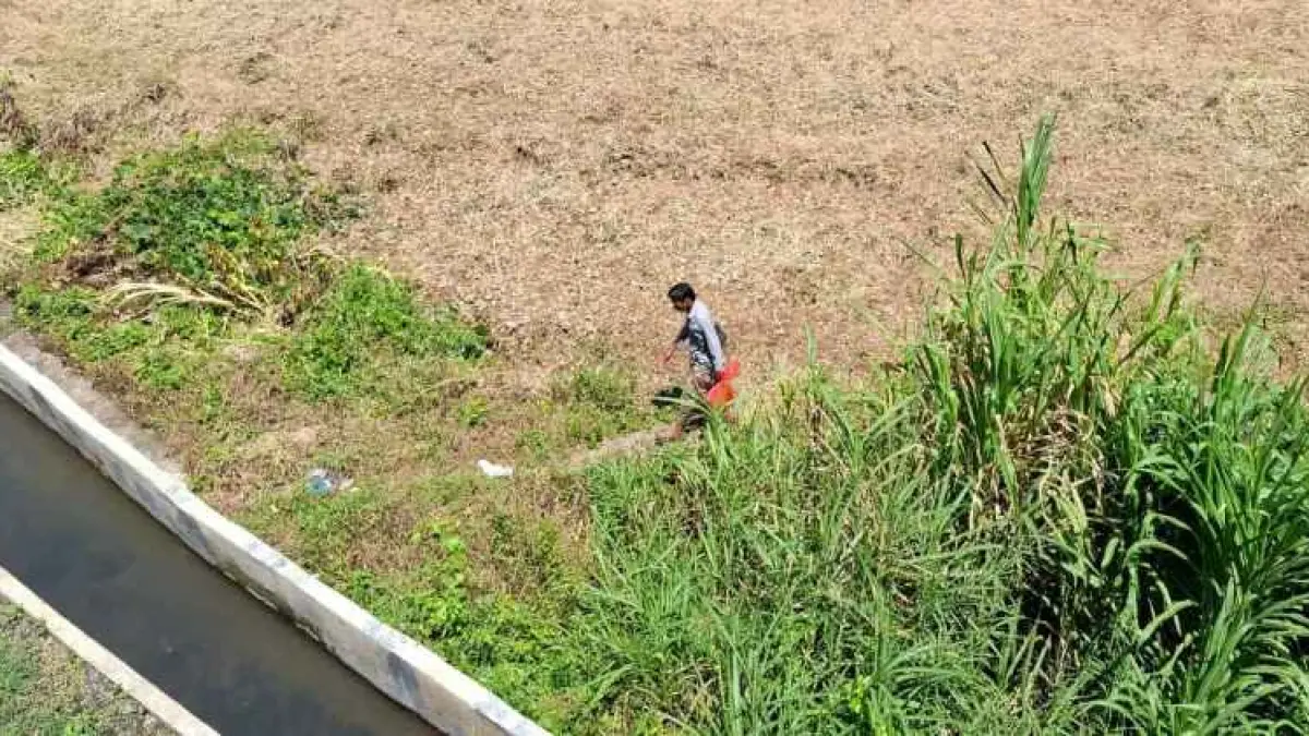 LAHAN PRODUKTIF: Kawasan pertanian di wilayah Subak Jro Kuta Kawan, Desa Adat Sangkanbuana, Kelurahan Semarapura Kauh, Kecamatan Klungkung dipasarkan di medsos jadi tanah kavling Rp250 juta per are.(Dewa Ayu Pitri Arisanti)