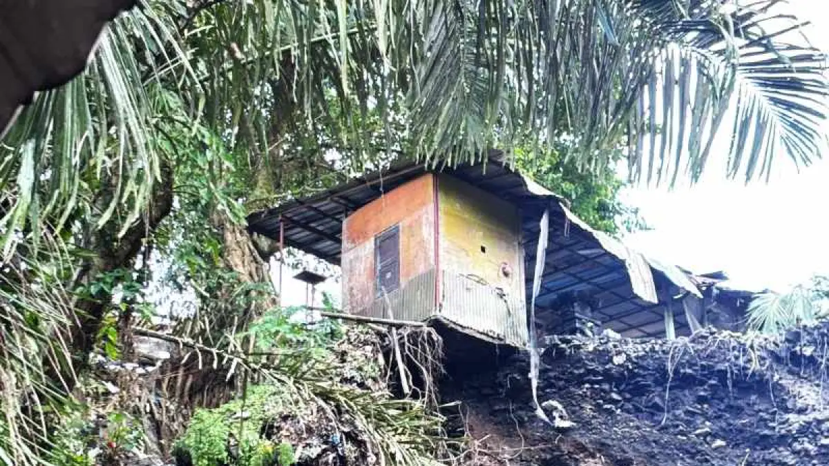 LONGSOR : Tanah longsor di Pupuan, Tabanan, . Tanah longsor seribaru-baru ini. (Juliadi/Radar Bali)