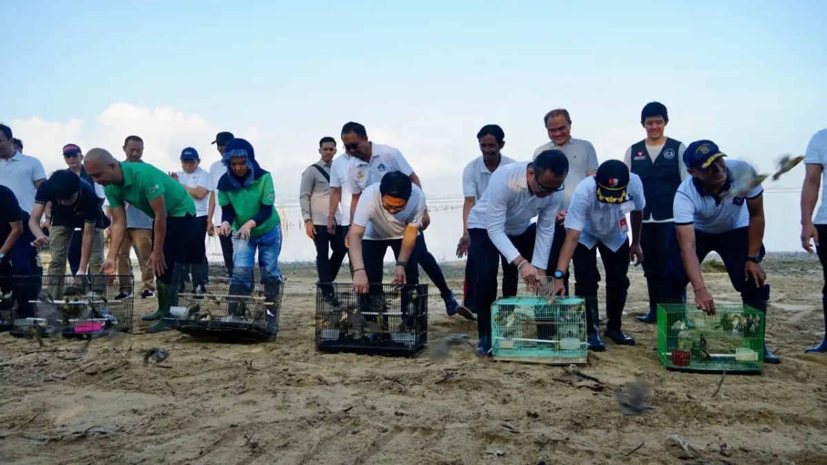 Bupati Badung Wayan Adi Arnawa (tengah) saat hadir di penanaman mangrove dan pelepasan burung di Kawasan Hutan Tahura Ngurah Rai, Sabtu (25/4).