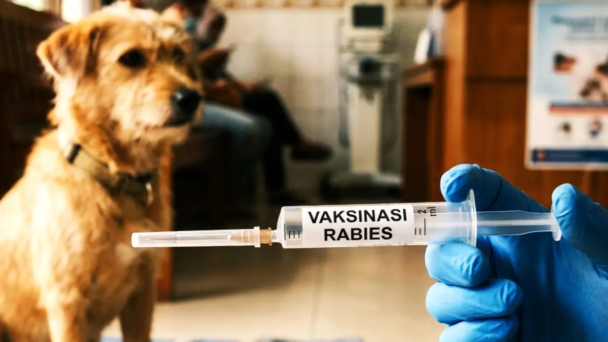 ilustrasi vaksinasi rabies. (gambar digital gemini/radar bali)
