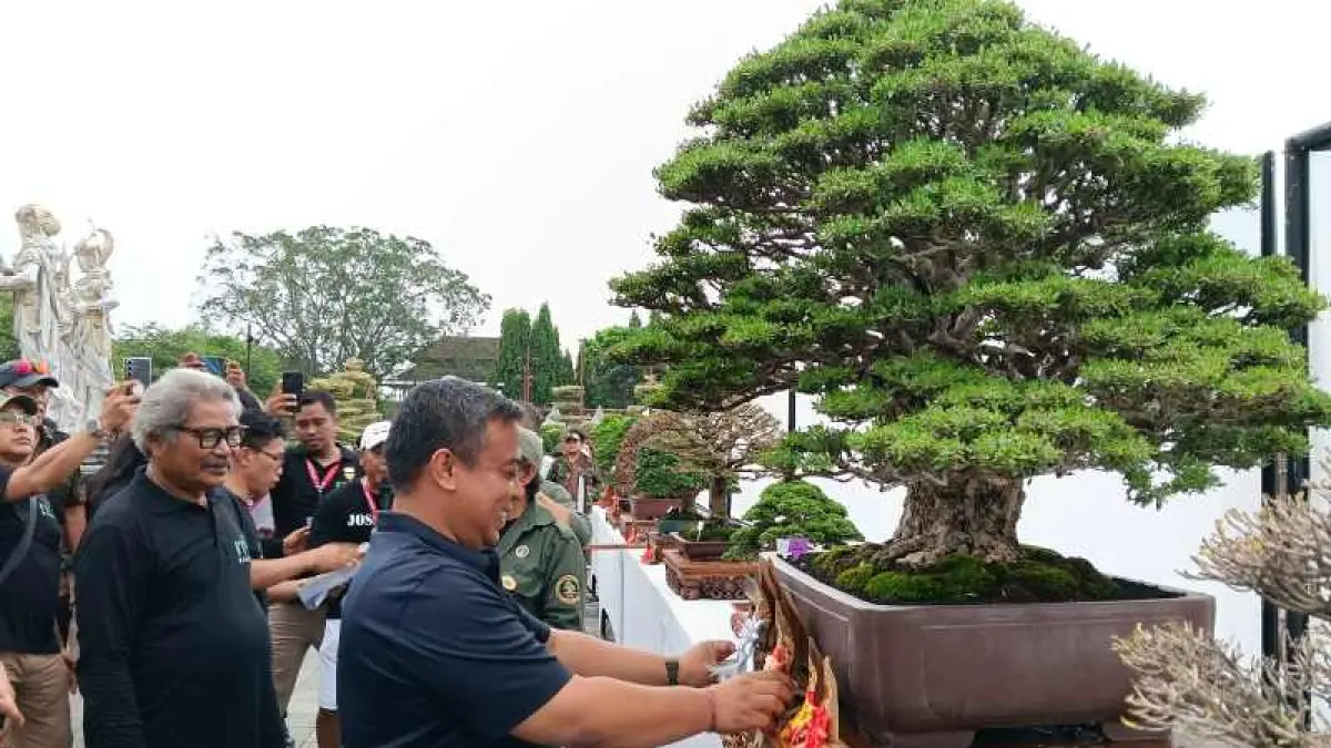 MENYEJUKKAN MATA : Bonsai berbagai ukuran dipajang di Alun-alun Gianyar hingga 2 Mei.2026. (foto:Kominfo Gianyar)