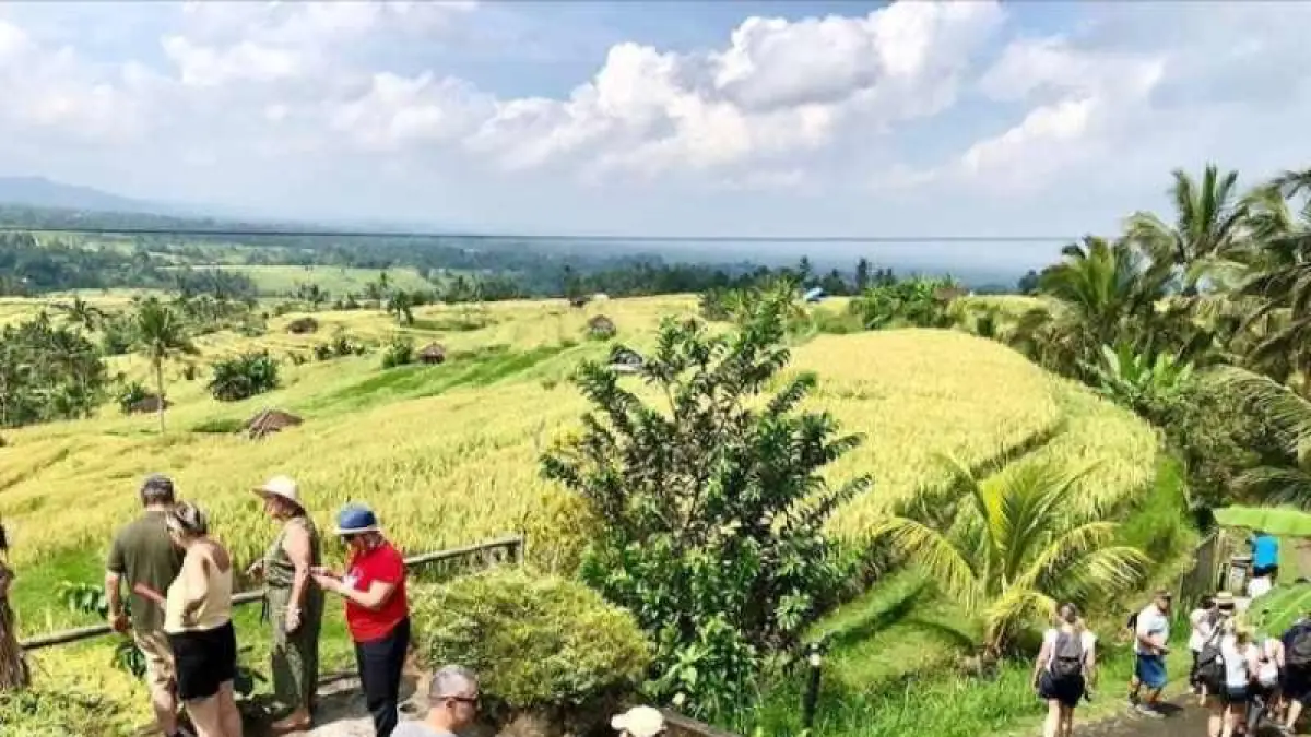 ilustrasi cuaca cerah berawan di kawasan Jatiluwih, Tabanan. (juliadi/radar bali)