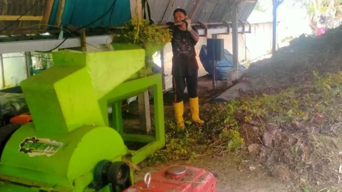 OLAH SAMPAH : Seorang pekerja tampak sedang menggiling sampah organik dari DTW Ulun Danu Beratan dan The Blooms Garden diolah dijadikan pupuk. (juliadi)