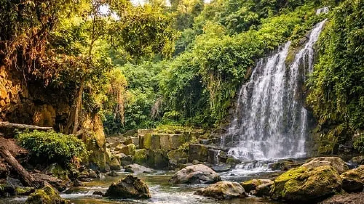 Air terjun Temesi, Gianyar (fastboatbaligilitrawangan.com)