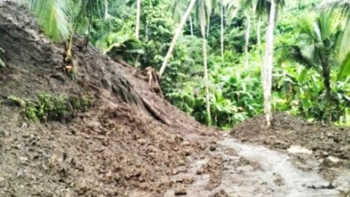 AKIBAT HUJAN &nbsp;: Senderan hingga akses jalan tertutup material longsoran di Sidemen, Karangasem. (ist)