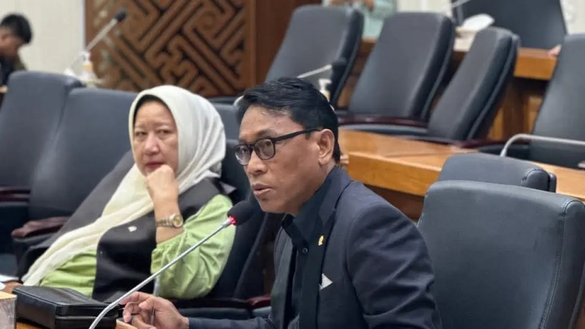 KRITIK BUKAN GANGGUAN: Anggota Komisi VIII DPR RI Fraksi PDI Perjuangan, I Ketut Kariyasa Adnyana. (IST/radarbali.id)