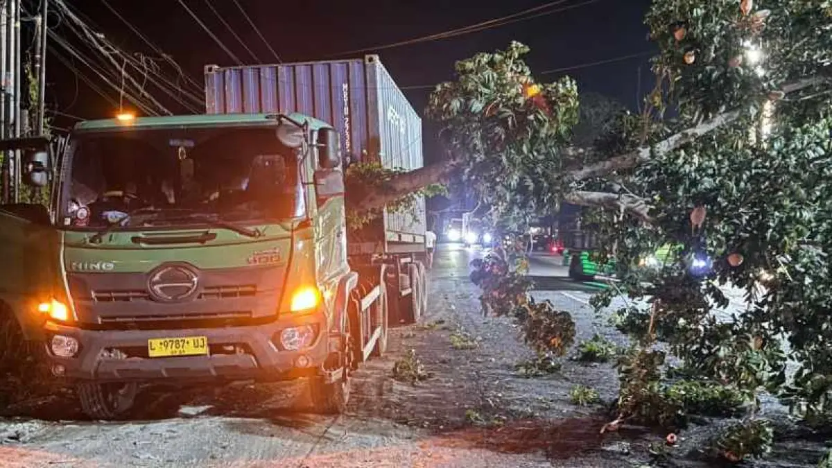 TERTIMPA POHON TUMBANG : Nahas truk kontainer bernopol L 9787 UJ yang ringsek di Jalur utama Denpasar–Gilimanuk . (foto:Polsek Mendoyo)