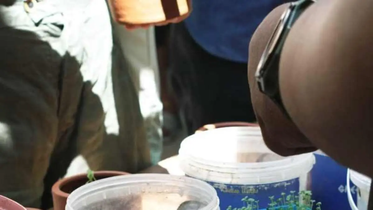 AJAK KELOLA LIMBAH : Edukasi pengolahan sampah organik dalam kegiatan From Waste to Harvest. (ist)