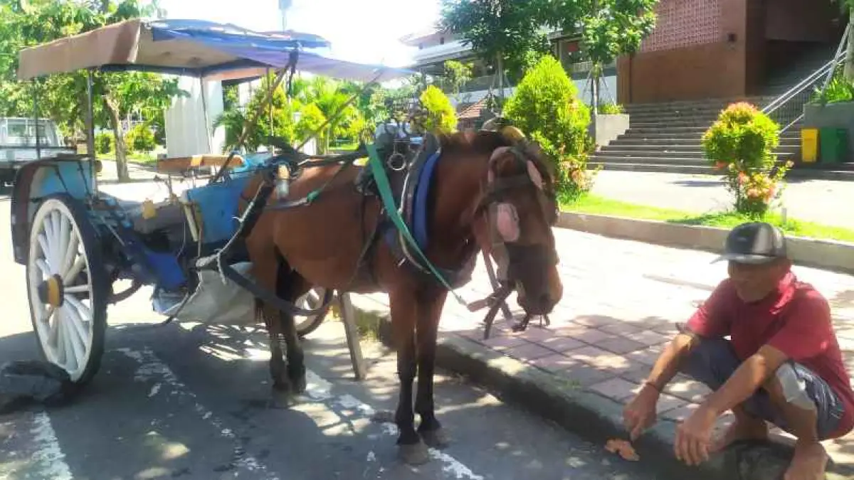 DOKAR DAN PAK KUSIRNYA : Salah satu dokar yang bertahan depan Pasar Umum Negara, Jembrana, seakan hidup segan mati pun enggan. (M.Basir/Radar Bali)