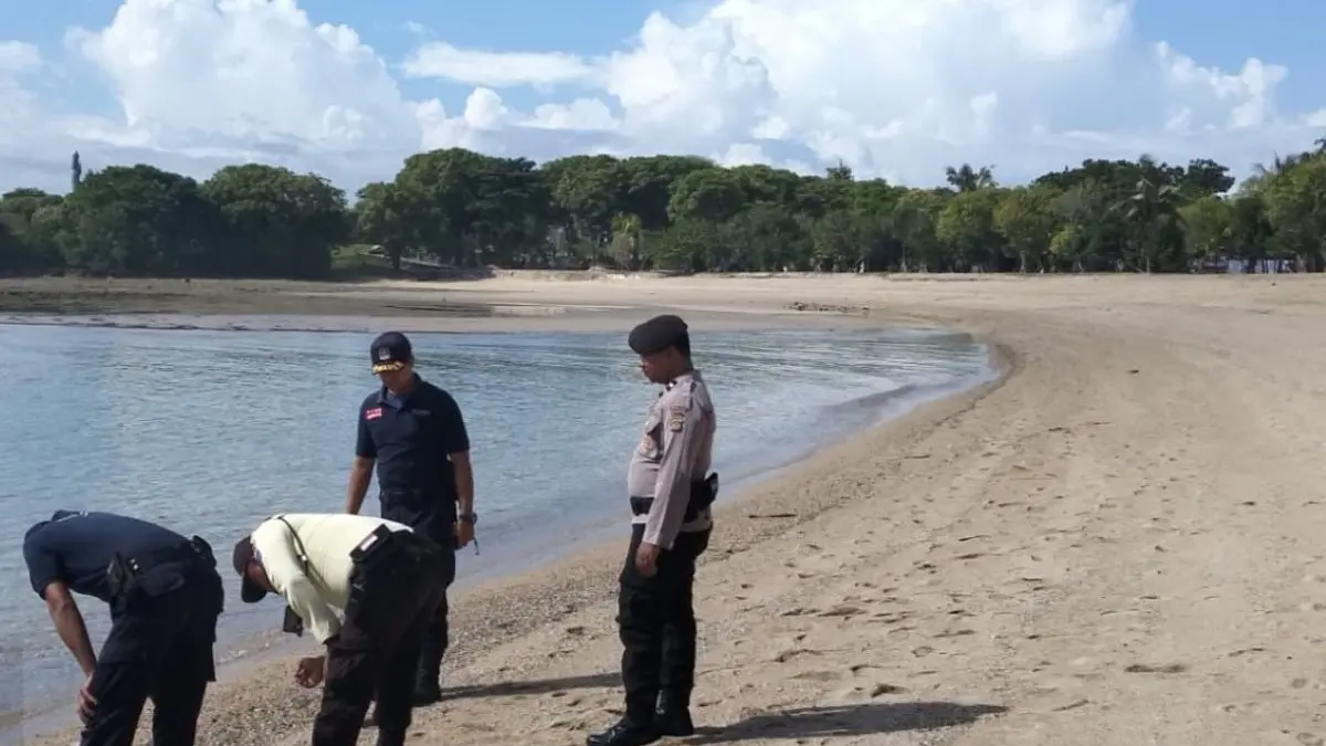 CARI JEJAK: Petugas mencoba mencari jejak ikan Hiu yang tetiba muncul di perairan Nusa Dua. (IST/radarbali.id)