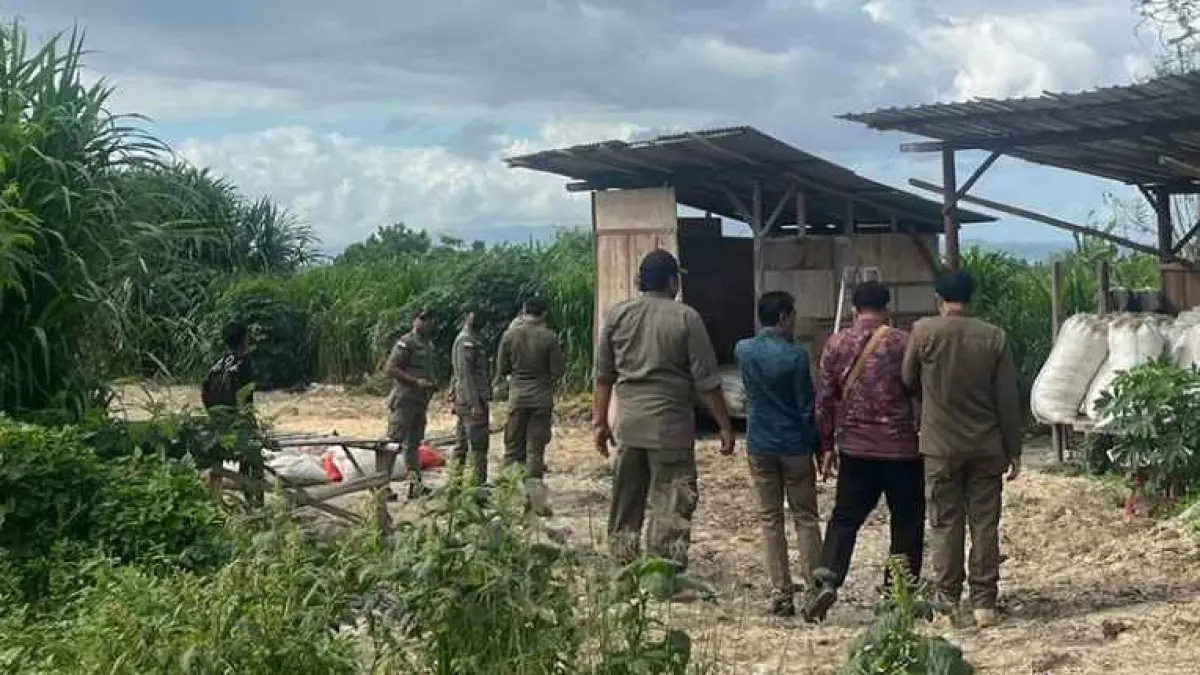 DITUTUP PAKSA KARENA BAU BUSUK: Tempat usaha penjemuran bulu ayam di kawasan Watu Klotok, Tojan,Klungkung, ditutup Satpol PP. (foto:Satpol PP Klungkung)