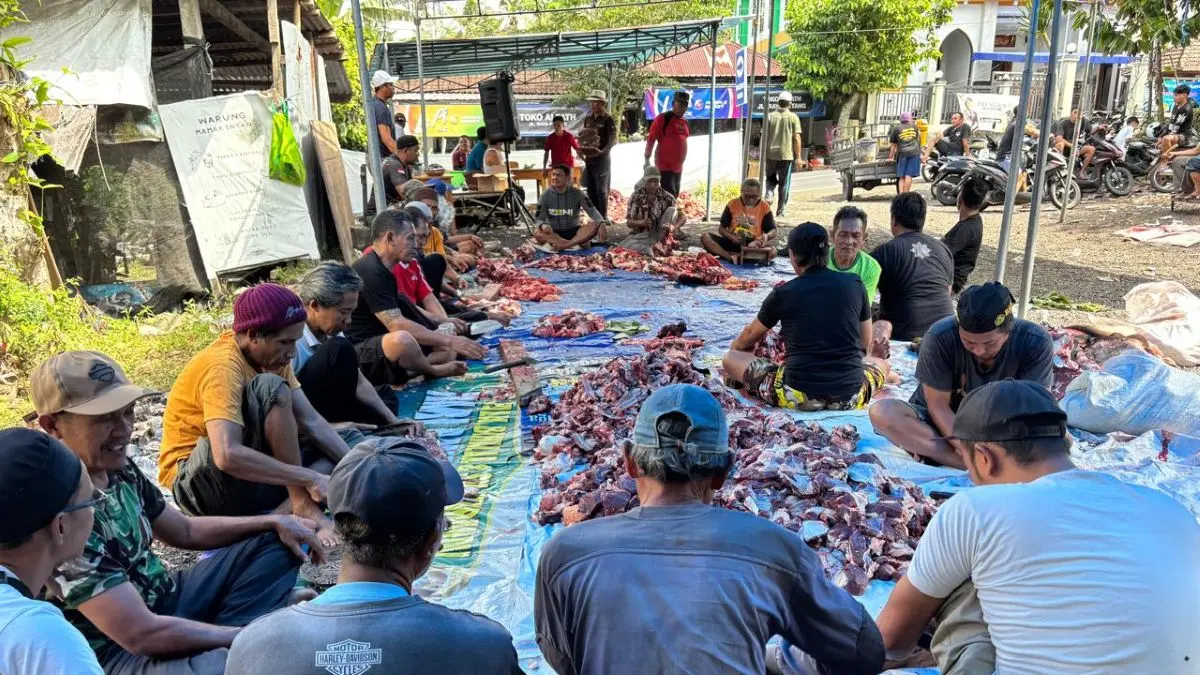 KOMPAK POTONG HEWAN KURBAN: Warga Kampung Angantiga kompak melakukan pemotongan hewan kurban di parkiran Masjid Baiturrahman, Angantiga, Petang, Badung, Rabu 27 Mei 2026. (MADE DWIJA PUTRA/radarbali.id)