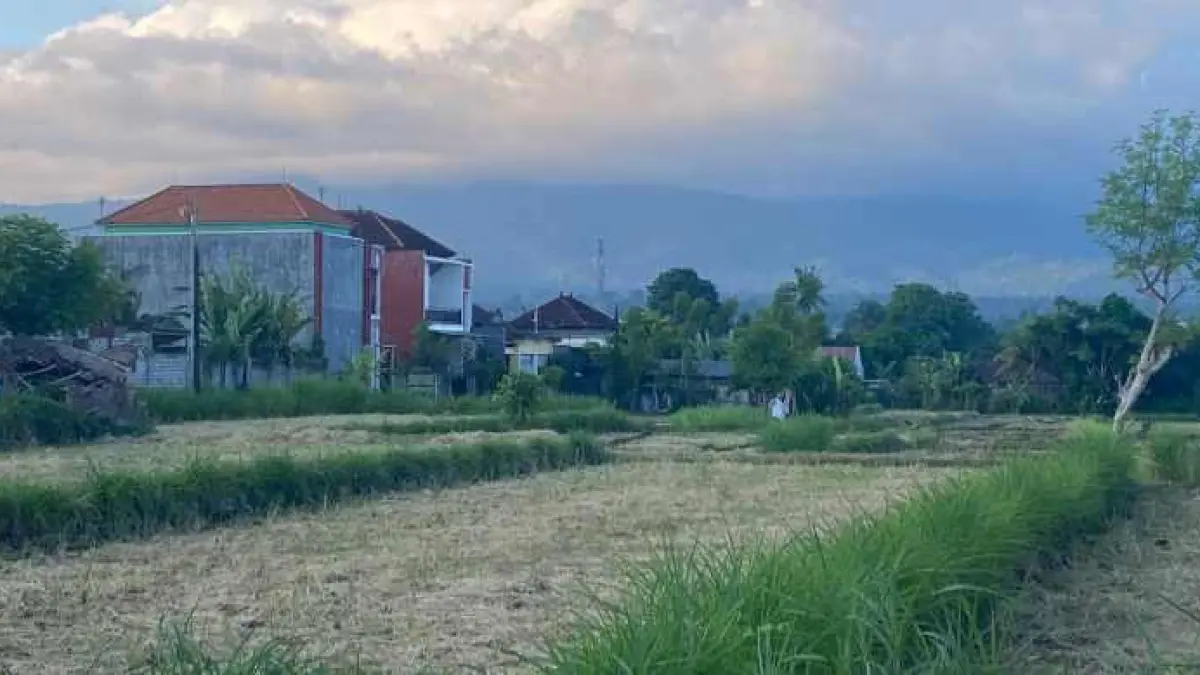 SEMAKIN TERDESAK BANGUNAN BETON : Salah satu kawasan sawah di Kecamatan Karangasem yang beralih fungsi menjadi bangunan.&nbsp;(Foto: Zulfika Rahman)