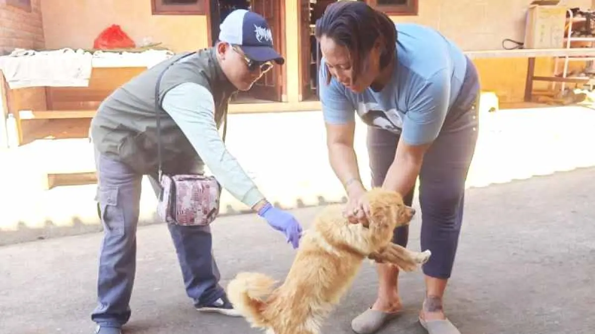 CEGAH RABIES : Vaksinasi di Desa Tukadaya, Kamis (4/6/2026). (foto: Keswan Jembrana)