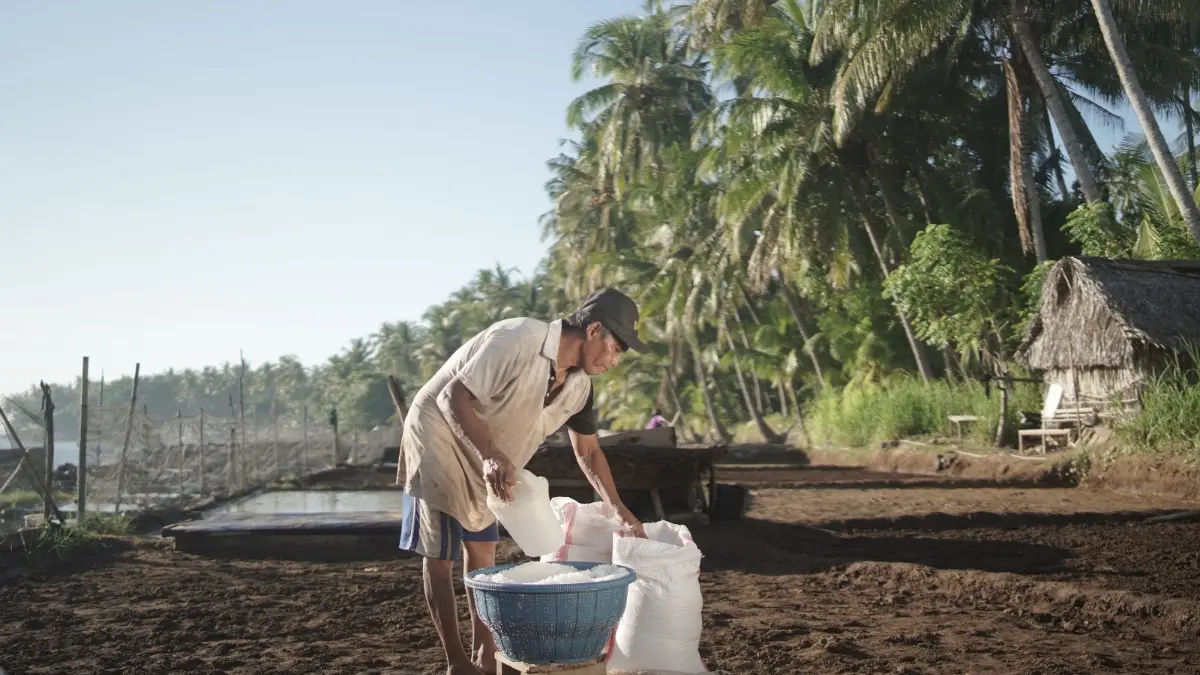 Melalui program Desa Sejahtera Astra, Desa Sejahtera Astra Desa Les berkembang menjadi desa wisata berbasis masyarakat yang tetap mempertahankan identitas lokal dan keberlanjutan alamnya.&nbsp;