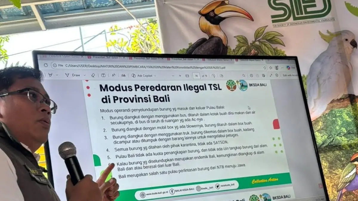 PASAR GELAP: Diskusi dengan   media bertajuk "Bali: Antara Rute Utama dan Pasar Gelap Perdagangan Ilegal Satwa Liar" di Denpasar, Senin (15/6). (Ni Kadek Novi Febriani/radarbali.id)