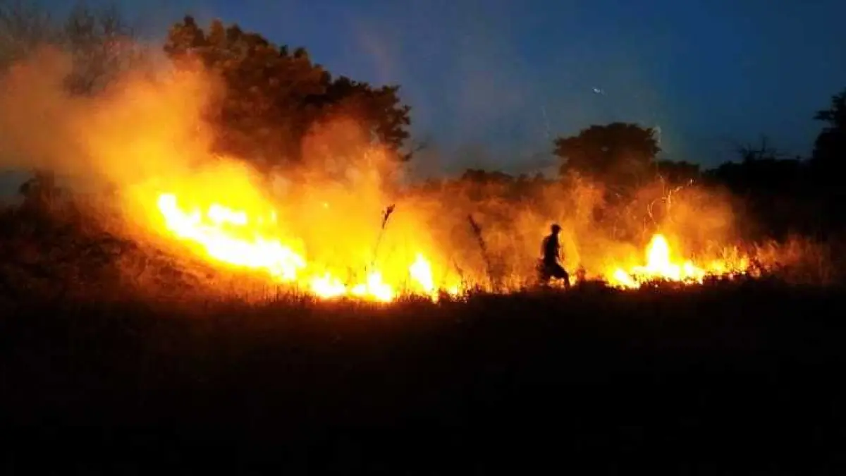 AKIBAT LAHAN MENGERING : Kobaran api meluas melahap tumbuhan kering di hamparan hektaran lahan di wilayah Tiagron Kauh, Desa Sukadana, Kecamatan Kubu.(foto: ist)