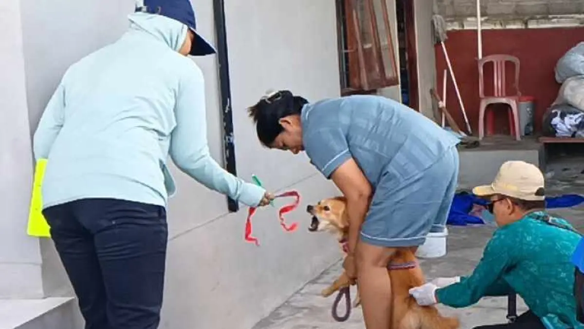 CEGAH MELUAS : Vaksinasi HPR di Desa Tegal Badeng Timur,Jembrana. (foto:Medikvet)