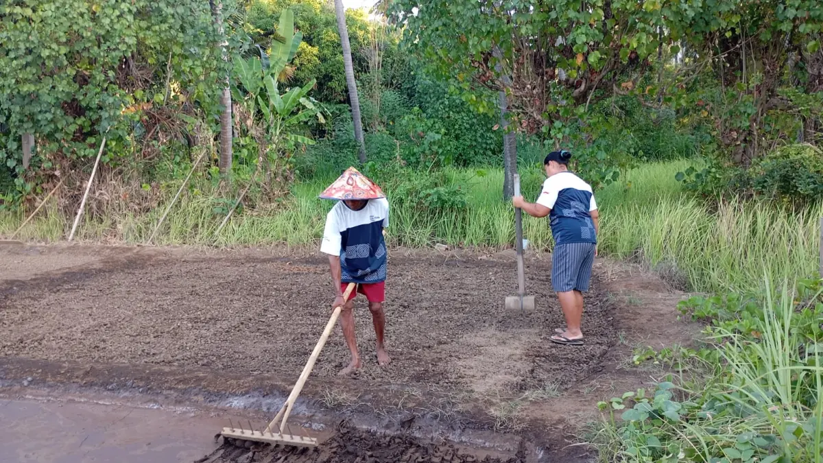 Pengembangan Desa Sejahtera Astra Desa Les dilakukan secara menyeluruh melalui empat bidang kontribusi sosial Astra.