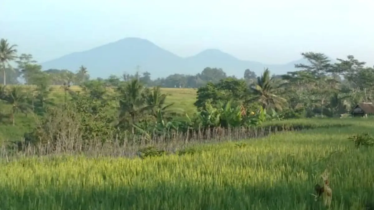 GUNUNG BATUKARU TABANAN: Banyak pendaki yang tersesat. (foto: Hari Puspita/Radar Bali)