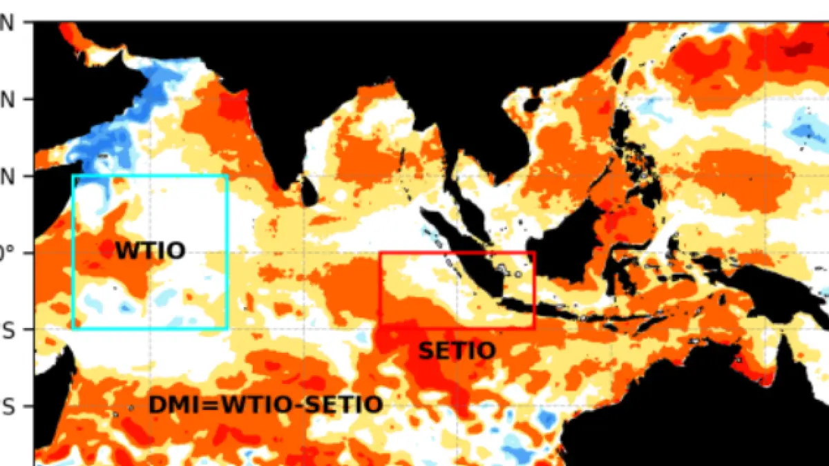 Anomali suhu muka laut dasarian I Juli 2026 yang menunjukkan el nino telah aktif di sebagian besar wilayah Indonesia. 