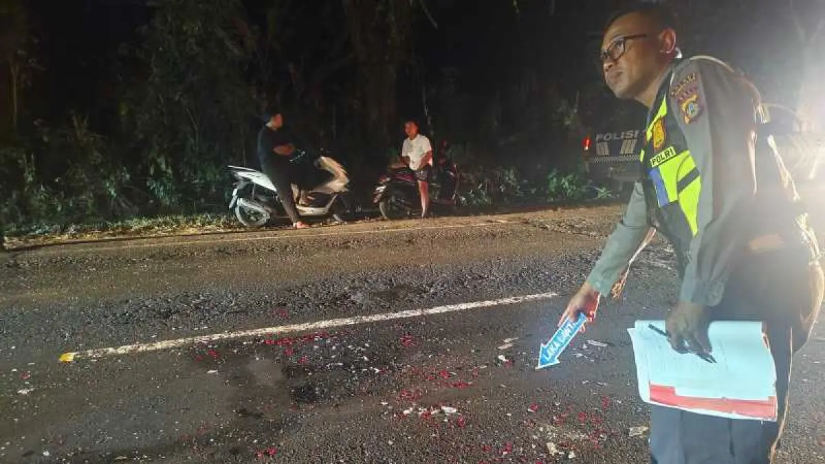 REKONSRUKSI KEJADIAN : Polisi melakukan olah tempat kejadian perkara kecelakaan di &nbsp;Jalan Denpasar–Gilimanuk KM 68-69. (Satlanpas Polres Jembrana)