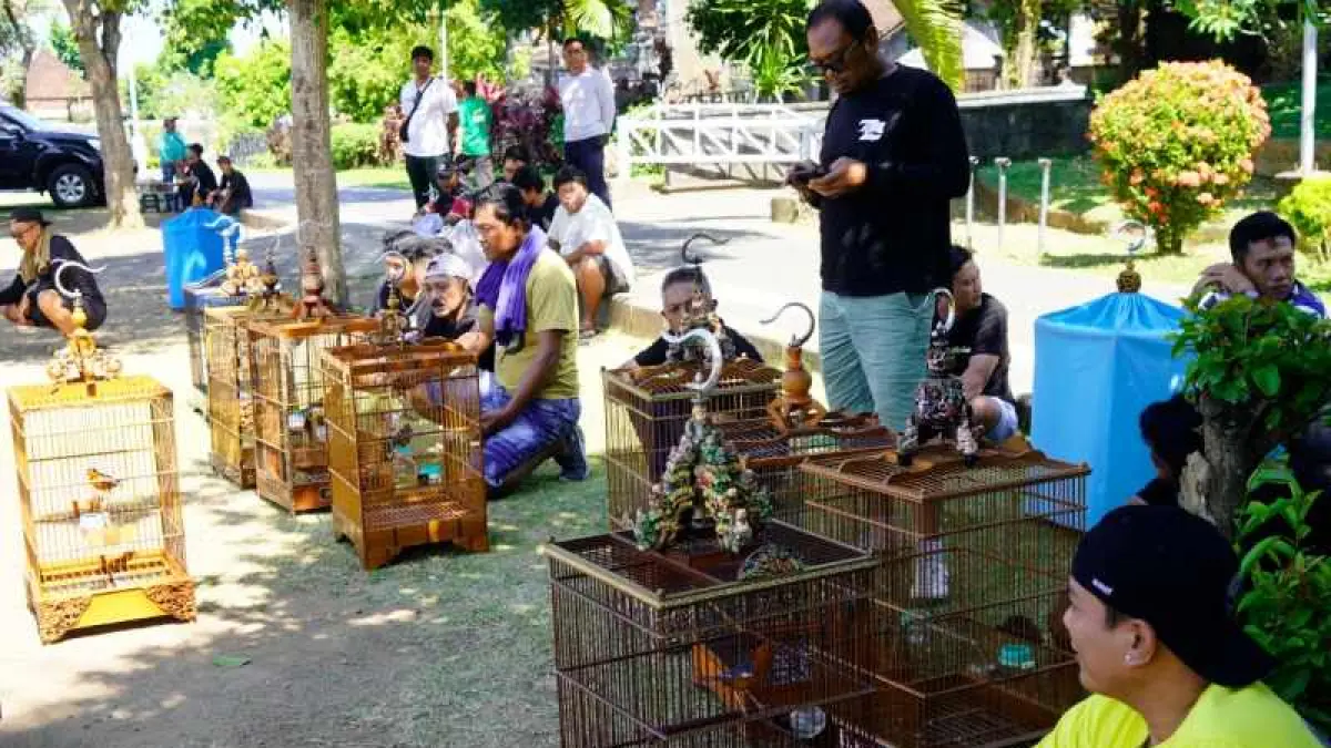 KICAU MANIA : Lomba Burung Berkicau Piala Bupati Cup Klungkung 2026 yang berlangsung meriah di Alun-alun Ida Dewa Agung Jambe, Minggu (12/7/2026). (Foto: Humas Pemkab Klungkung)