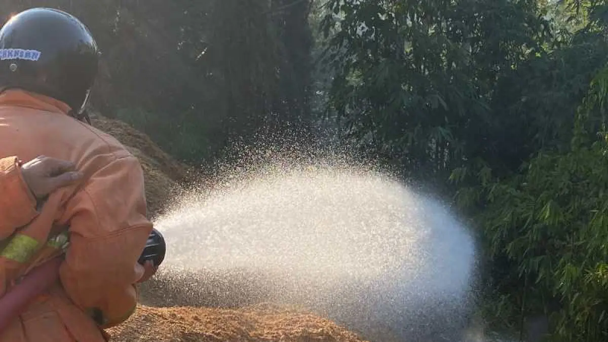 API SEMAKIN MEMBESAR : Petugas Damkar kerja keras memadamkan kebakaran di Banjar Petanahan, Desa Batuagung, Kecamatan Jembrana. (foto:Damkar Jembrana)