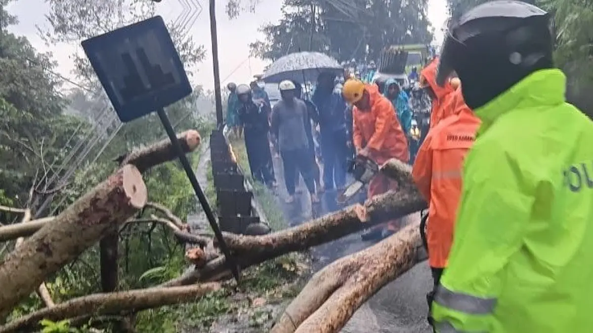 BERSIHKAN PEPOHONAN DI JALANAN : Petugas BPBD Karangasem saat melakukan penanganan pohon tumbang akibat hujan deras, Minggu (19/7/2026). (ist)