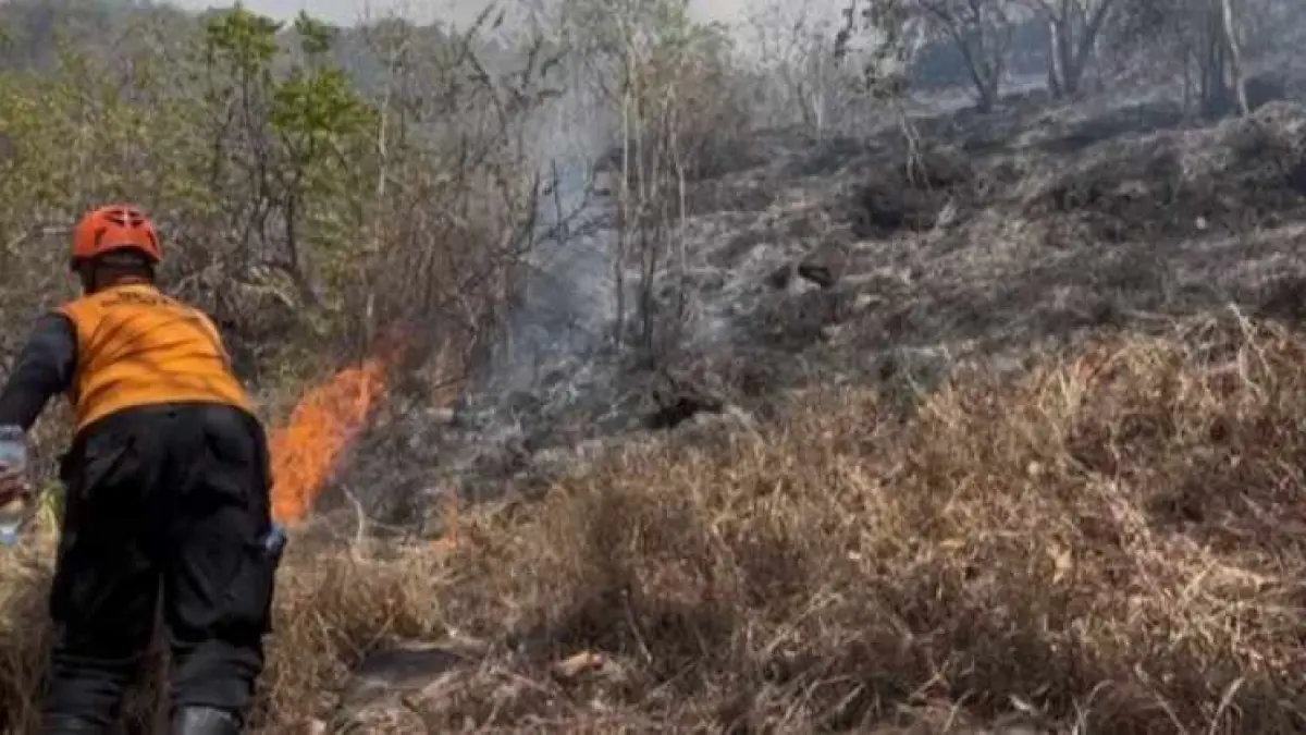 SULIT DIPADAMKAN : Tim gabungan memadamkan api yang membakar 48,6 hektar hutan di Desa Pemuteran, Kecamatan Gerokgak, Kabupaten Buleleng. Apinya kini dikabarkan sudah padam.(BPBD Buleleng)