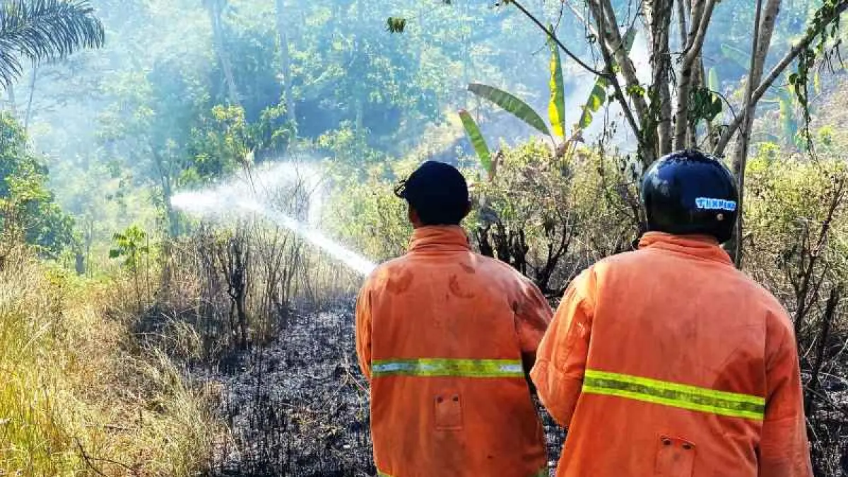 MULAI TERBAKAR SAAT KEMARAU &nbsp;: Kebakaran lahan kembali terjadi di Lahan kosong seluas sekitar 10 are di Banjar Rangdu, Desa Pohsanten, Kecamatan Mendoyo, Rabu (22/7/2026). (Damkar Jembrana)