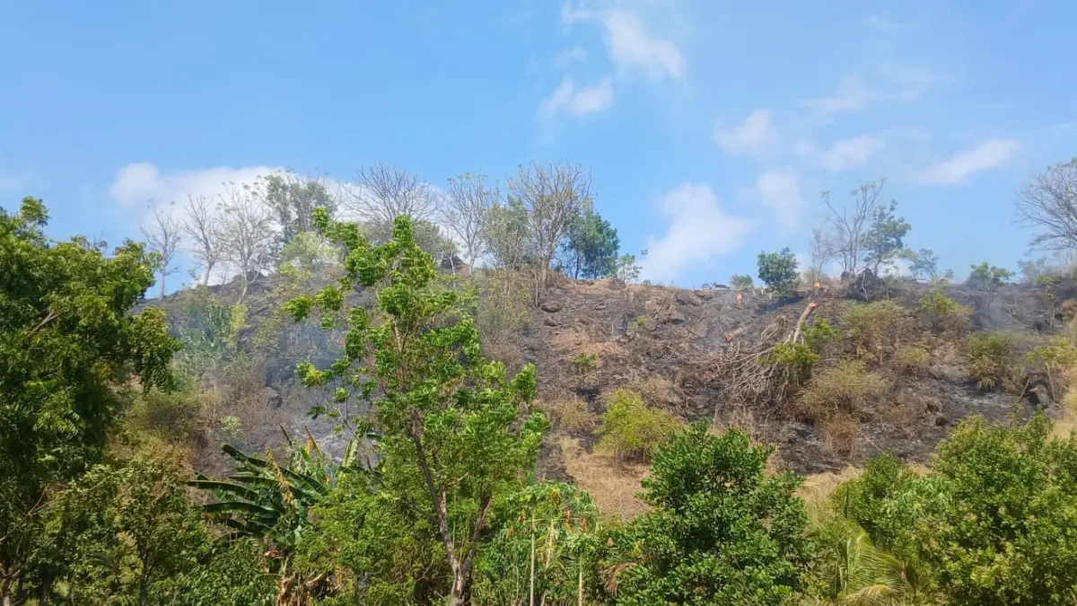 HANGUS TERBAKAR PENYEBAB BELUM JELAS: Lahan kosong di wilayah Banjar Dinas Darmawinangun, Desa Tianyar, Kecamatan Kubu, Karangasem, ini hangus terbakar dengan penyebab belum jelas. (ist)