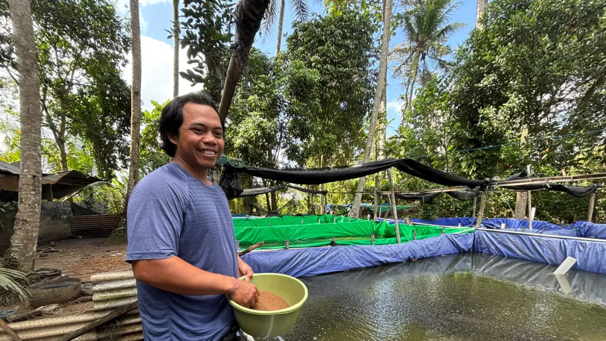  I Nyoman Miasa, 35, pelaku usaha pembibitan lele asal Banjar Panglan Kelod, Desa Kapal, Badung.
