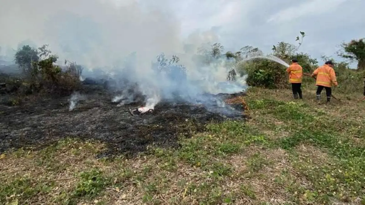 PADAMKAN API : Petugas Damkar kerja keras memadamkan api lahan di wilayah Desa Pekutatan, Kecamatan Pekutatan, Jembrana. (foto: Damkar Jembrana)