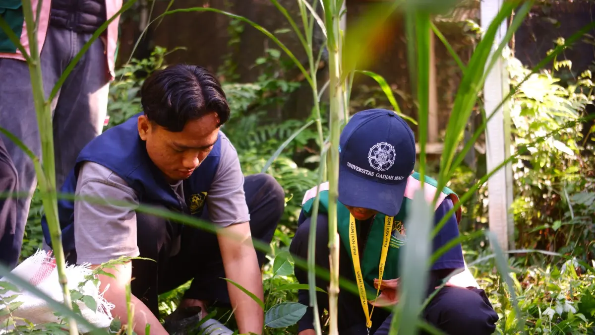 Proses penanaman bibit pohon nangka dan beringin di Banjar Liligundi, Desa Bebandem oleh mahasiswa KKN-PPM Universitas Gadjah Mada dan Universitas Warmadewa.