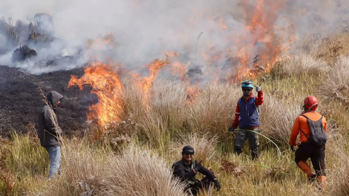 Personel gabungan melaksakan operasi pemadaman api di Blok Jantur Taman Nasional Bromo Tengger Semeru yang terbakar sejak Senin lalu. 