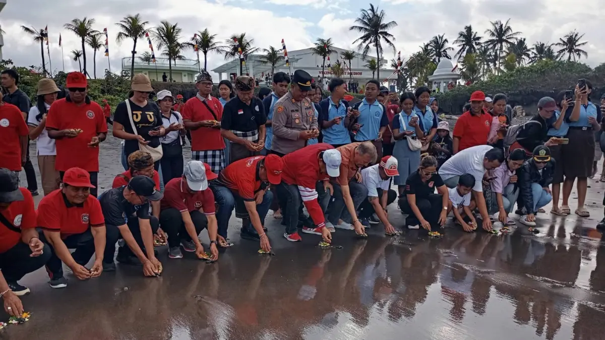 LEPAS LIAR KE ALAM BEBAS : Pelepasan ratusan ekor tukik di Pantai Abian Kapas, Desa Beraban, Selemadeg Timur, Tabanan. (juliadi/radar bali)&nbsp;

&nbsp;